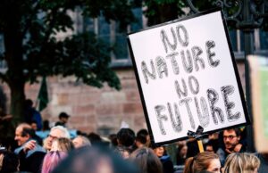 How Nature-Based Solutions Can Save the Planet How Nature-Based Solutions Can Save the Planet