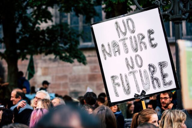 How Nature-Based Solutions Can Save the Planet