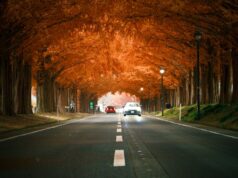 Secure Your World: A Guide to Car, Home, and Asset Insurance Secure Your World car home and asset insurance