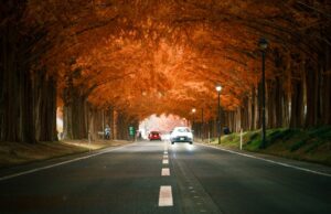 Secure Your World: A Guide to Car, Home, and Asset Insurance Secure Your World car home and asset insurance