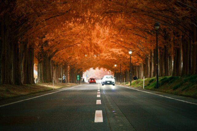 Secure Your World car home and asset insurance