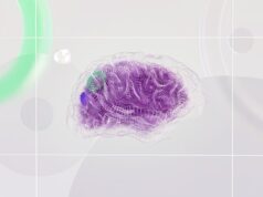 What Neuroscience Says About the Way We See the World What Neuroscience Says About the Way We See the World