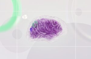 What Neuroscience Says About the Way We See the World What Neuroscience Says About the Way We See the World