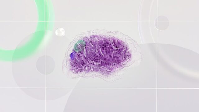 What Neuroscience Says About the Way We See the World