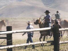 Backpack-Ready Cowboy Hats for Rugged Adventures travel friendly cowboy hats
