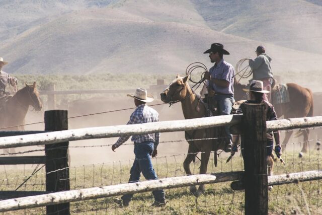 travel friendly cowboy hats